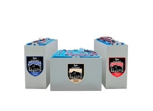 Enersys 80 Volt Lead Acid Battery