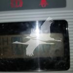 img-3956.jpeg